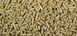Rabbit Feed